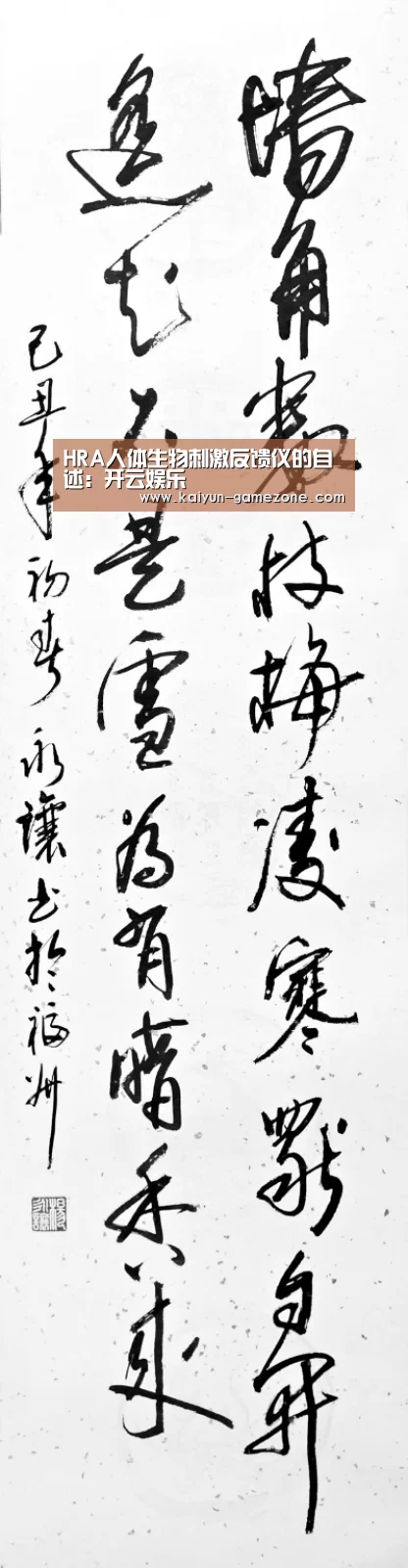 开云电竞