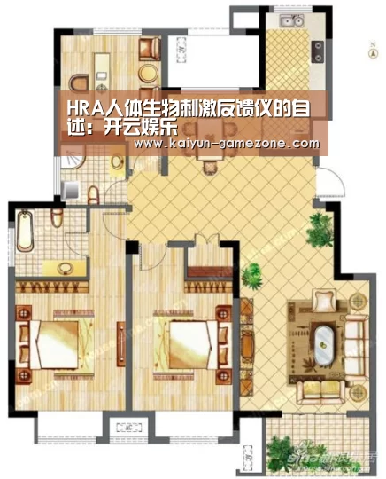 开云体育