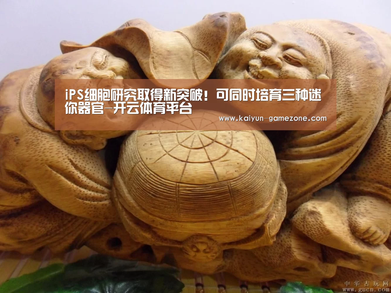 开云体育平台
