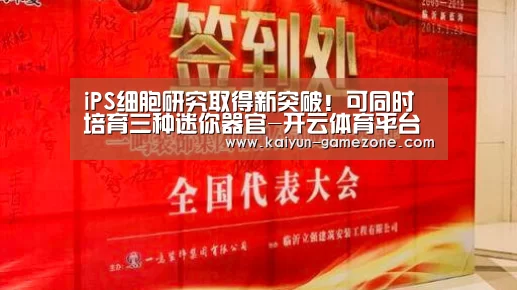开云体育