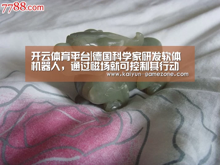 开云体育平台|德国科学家研发软体机器人,通过磁场就可控制其行动(图1) 开云电竞