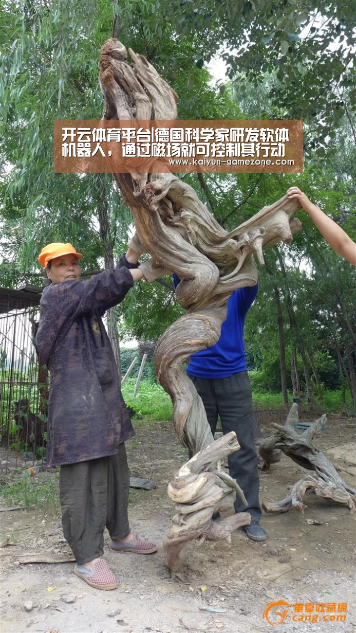 开云体育平台|德国科学家研发软体机器人,通过磁场就可控制其行动(图3) 开云体育